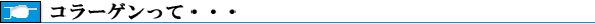 www.eebe.net